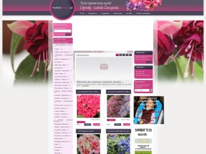 Sklep internetowy z pięknymi kwiatami
